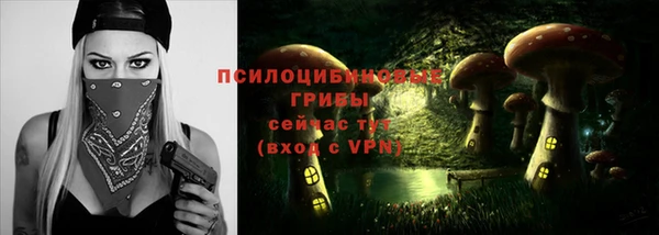 мяу мяу мука Абаза