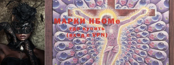 трава Новозыбков