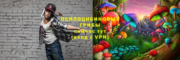 трава Новозыбков