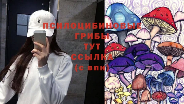 таблы Новокубанск